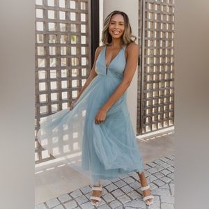 Lizard Thicket Living in a Fairytale Dress